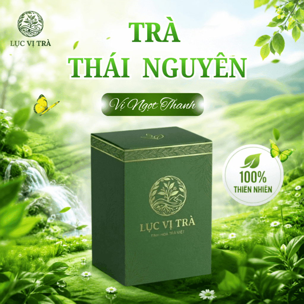 Trà xanh Thái Nguyên vị ngọt thanh giá tốt - Lục Vị Trà Biên Hòa hộp 100g