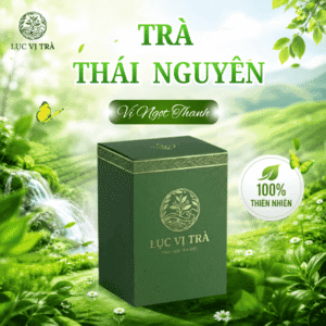 Trà xanh Thái Nguyên vị ngọt thanh giá tốt - Lục Vị Trà Biên Hòa hộp 100g