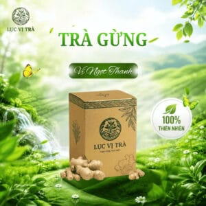 Trà Gừng Vị Ngọt Thanh Lục Vị Trà Hộp 100g