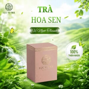 Trà Thái Nguyên Vị Ngọt Thanh Lục Vị Trà Hộp 100g