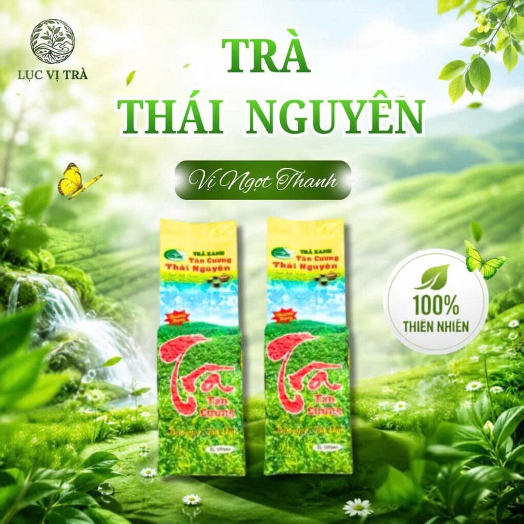 Trà Xanh Thái Nguyên Tân Cương Giá Tốt Lục Vị Trà