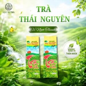 Trà Xanh Thái Nguyên Tân Cương Giá Tốt Lục Vị Trà