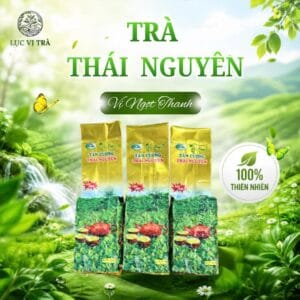 mua bán trà xanh tân cương thái nguyên giá tốt